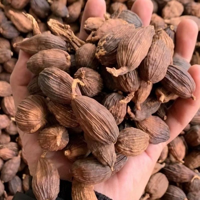 云南草果优质香料调味料炖肉卤肉煮火锅料调味料