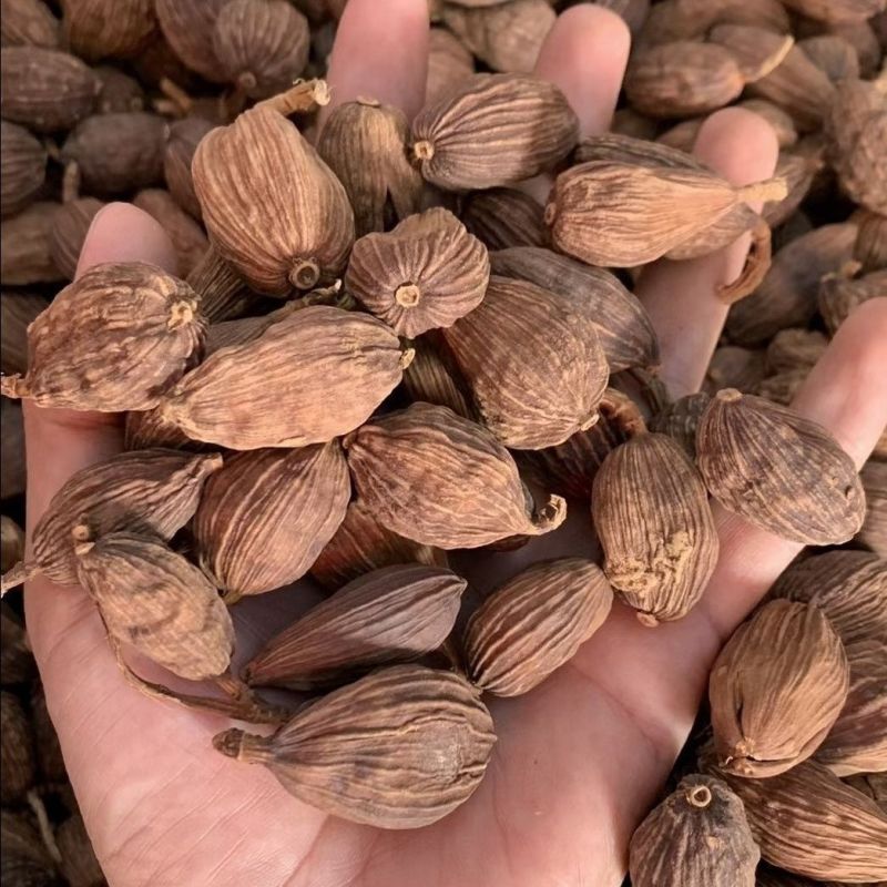 云南草果优质香料调味料炖肉卤肉煮火锅料调味料
