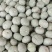 板栗南瓜，银栗南瓜，贝贝南瓜，盘龙204品种齐全