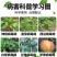 氨基寡糖素高渗透型可广泛用于果树蔬菜大田作物的病毒病防控