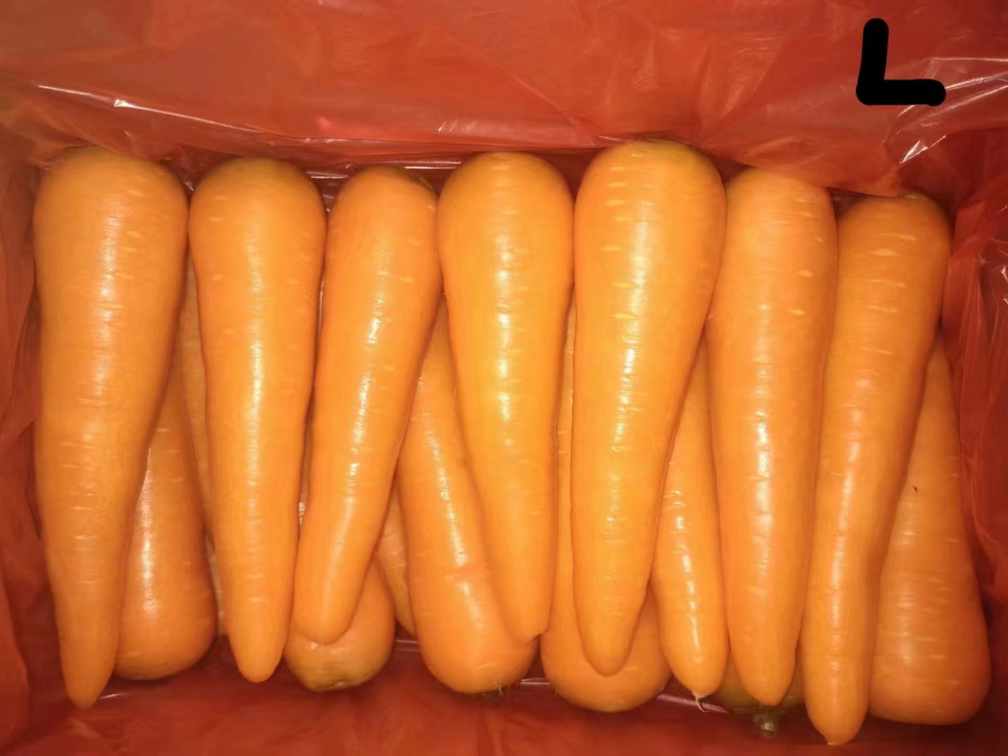 胡萝卜煮熟后释放出更多营养