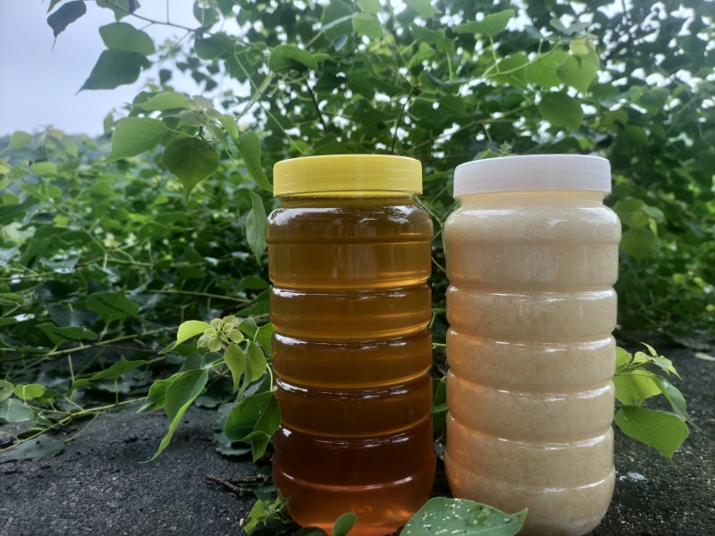 自产蜂蜜