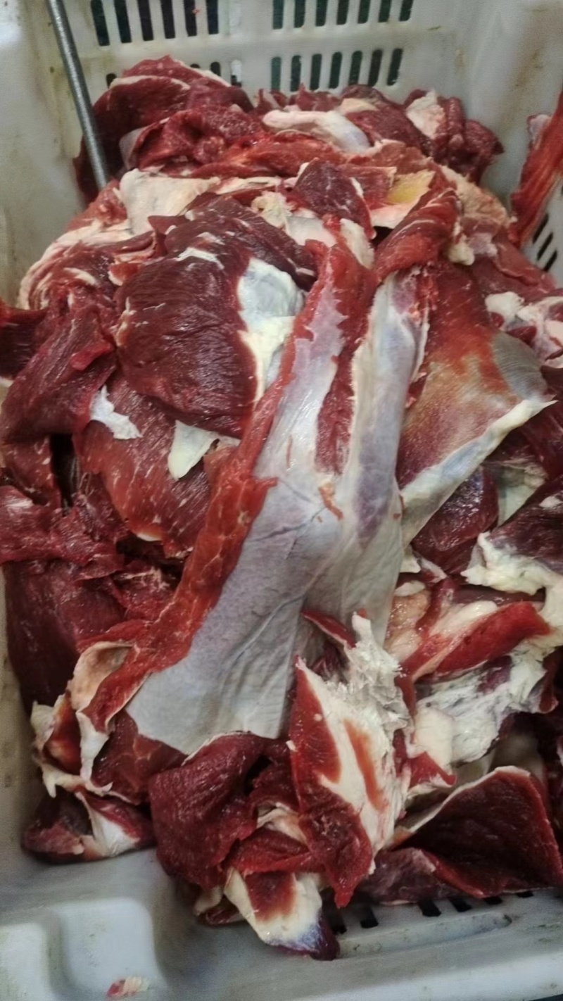 牛肉筋。廊坊清真屠宰厂直营企业！品质有保障价格合适！