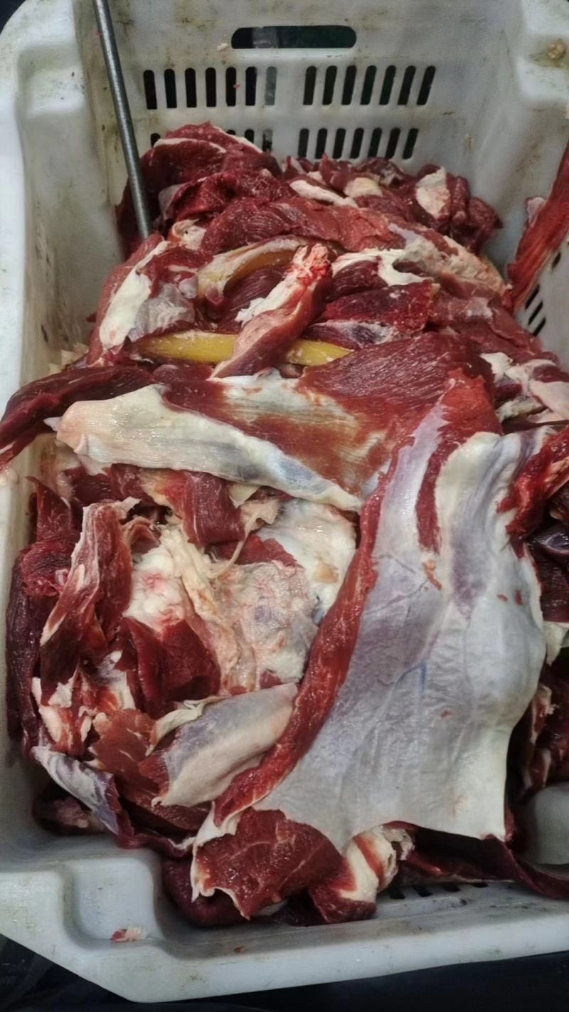 牛肉筋。廊坊清真屠宰厂直营企业！品质有保障价格合适！