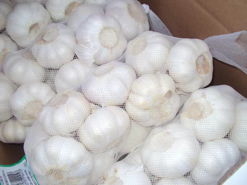 外贸出口大蒜，山东原产地大蒜，超市市场大蒜，精品蒜
