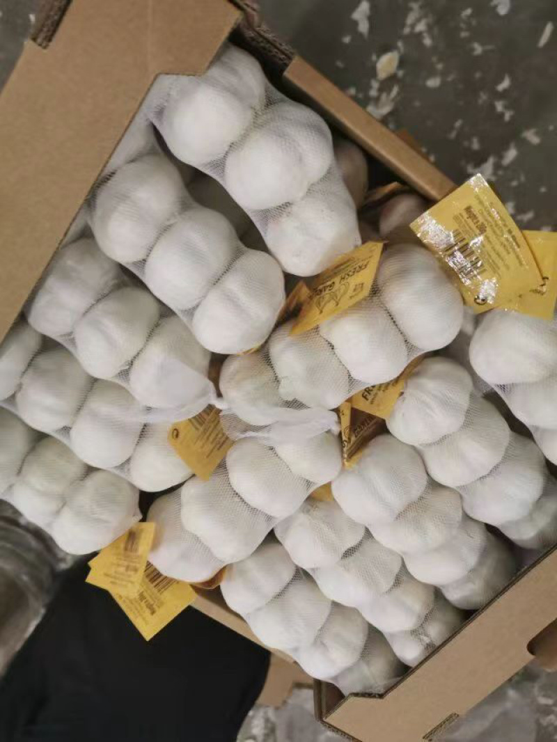 外贸出口大蒜，山东原产地大蒜，超市市场大蒜，精品蒜