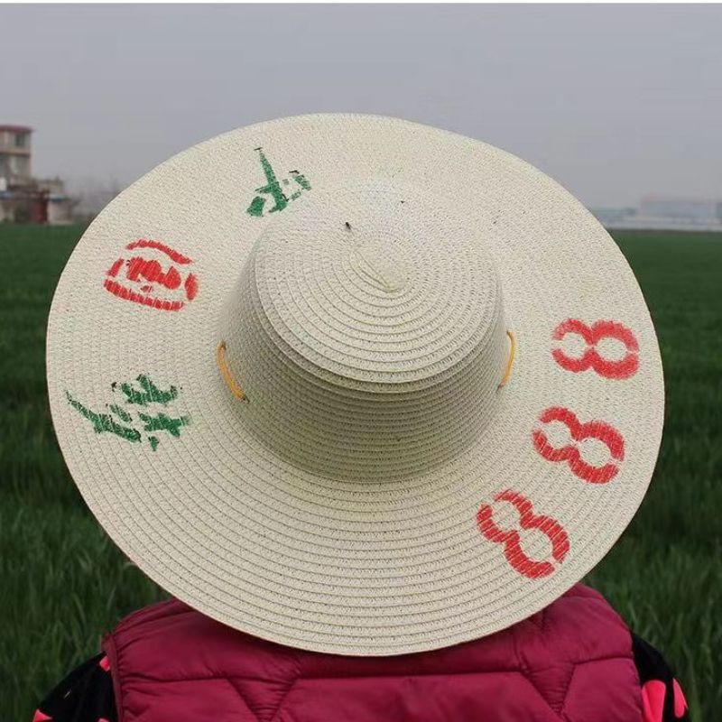 草帽清仓处理，给价就出
