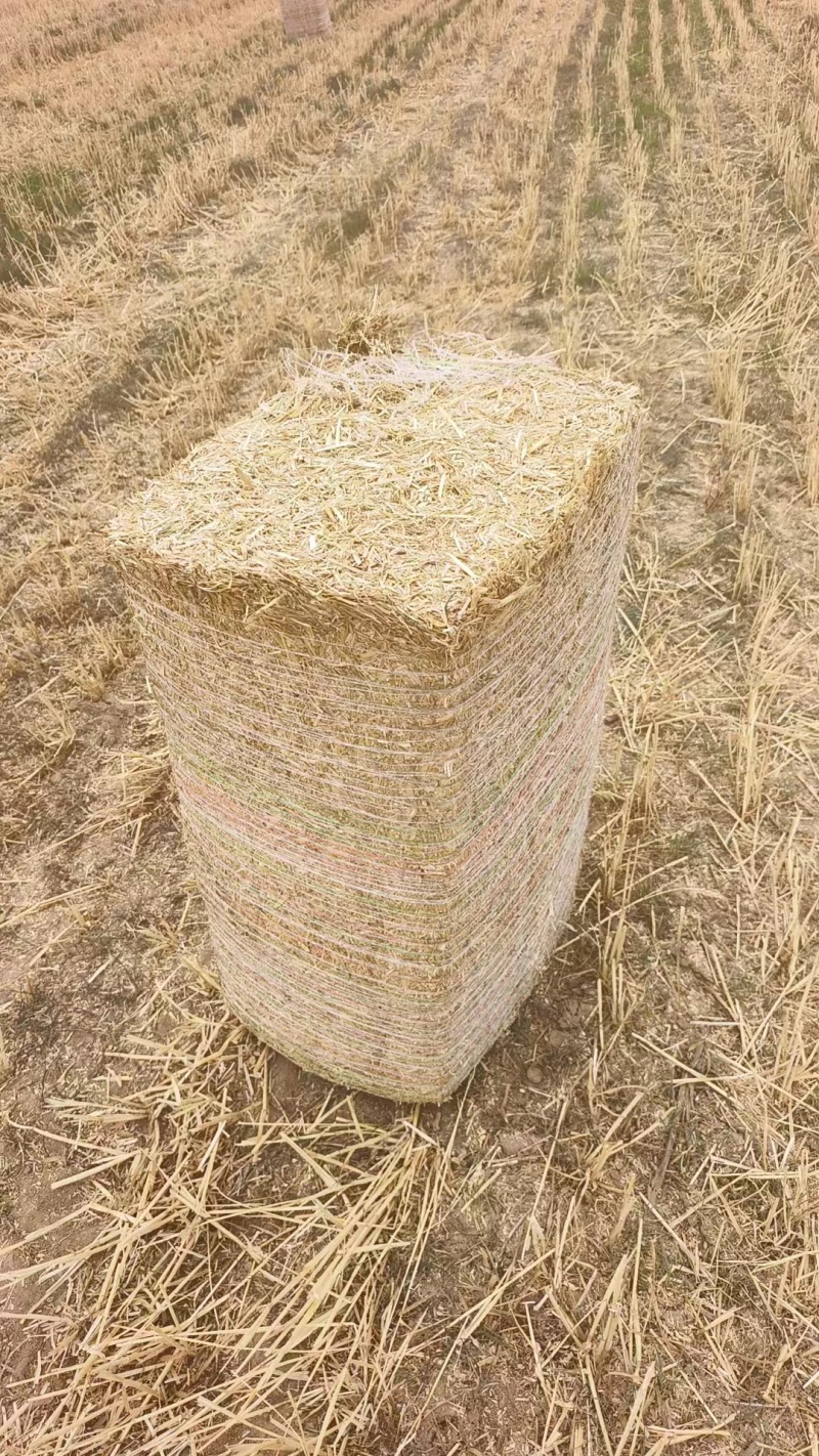 小麦秸秆