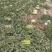 宁夏西瓜大量上市，金城5号，双红金城，金花大量上市