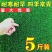 草坪种子草籽四季常青绿化狗牙根黑麦草护坡草皮草子庭院草籽