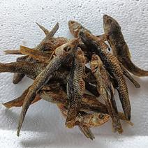 火焙鱼烟熏鱼干（麦穗鱼干/棍子鱼/小黄鱼）鱼干混合装