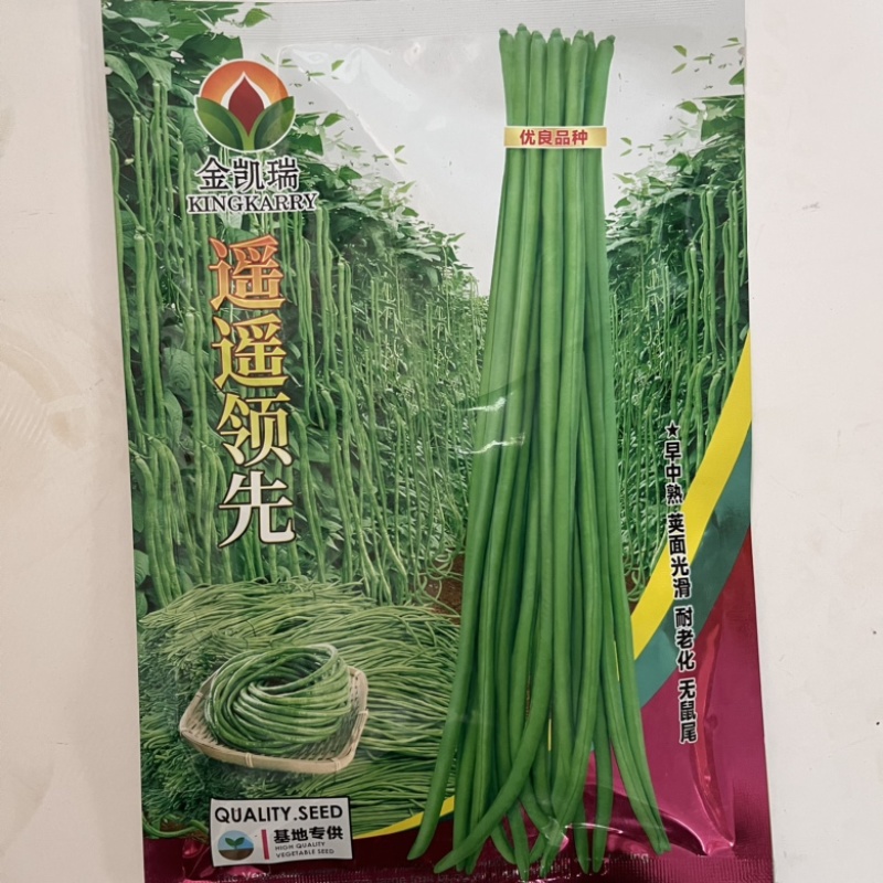 豇豆种子白花耐热品种，翠绿色条，种子品种，