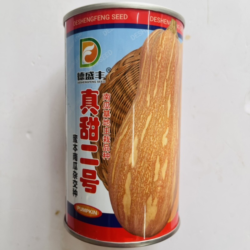 真甜二号蜜本南瓜种子甜栗黄皮南瓜品种种子