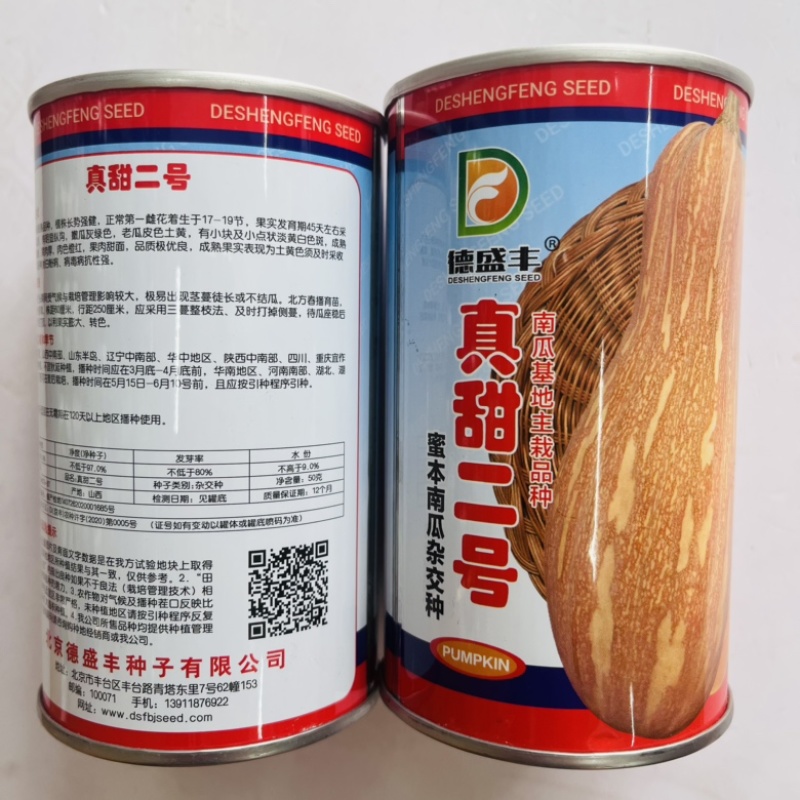真甜二号蜜本南瓜种子甜栗黄皮南瓜品种种子