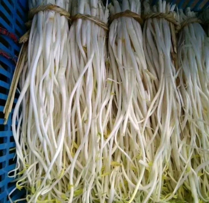 新鲜的白菜与茴香食材特写