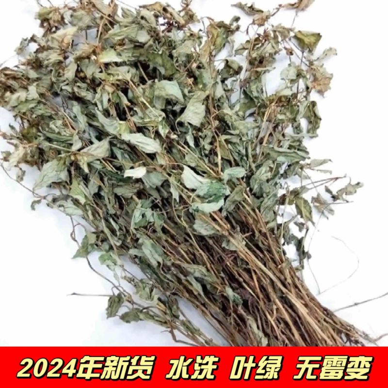 今年新货鱼腥草野生鱼腥草新鲜干货红杆叶绿高含量