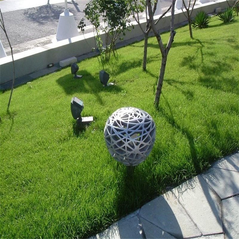 碱茅草种子耐旱耐盐碱护坡固土草籽风沙寒速生复绿草坪种子