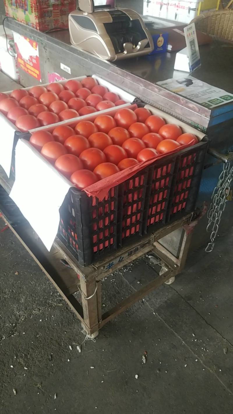 精品西红柿