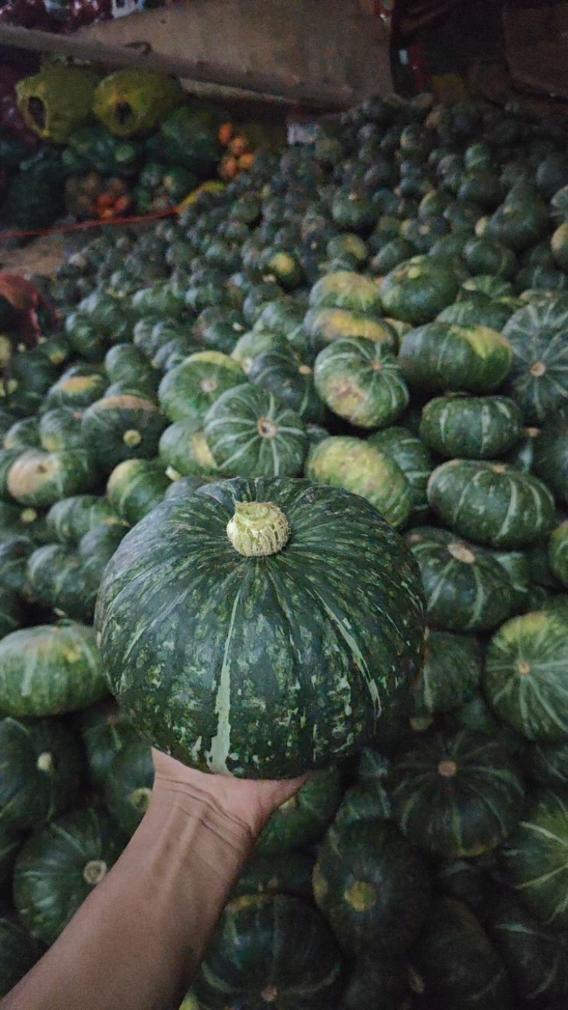 【推荐】板栗南瓜头茬精品货可分级打包货靓价全国发货