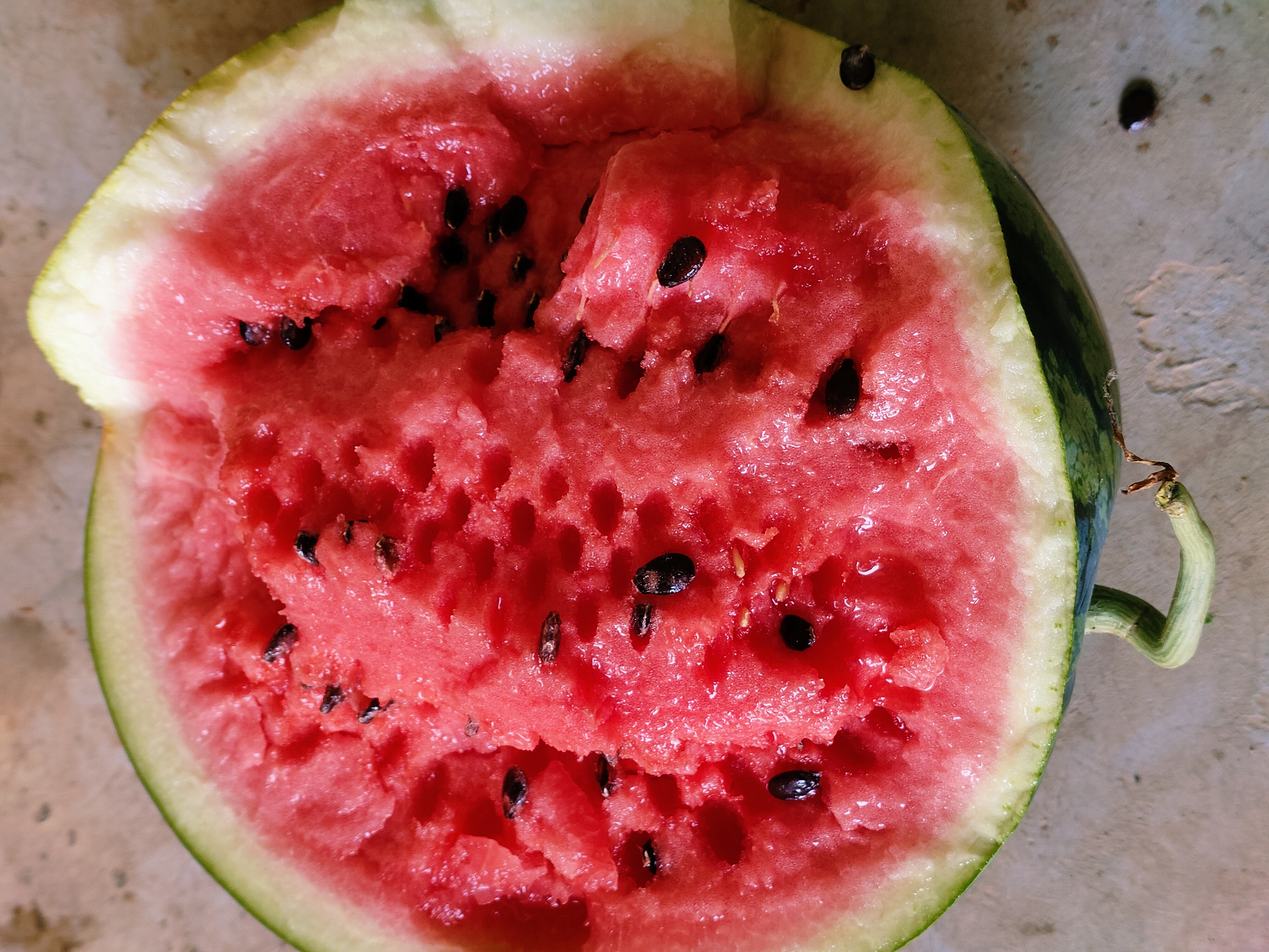 不同品种西瓜对比图