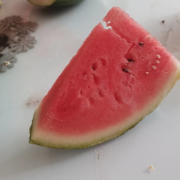 河北龙卷风系列西瓜大量供应，口感甜本地瓜需要联系我！