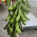 毛豆