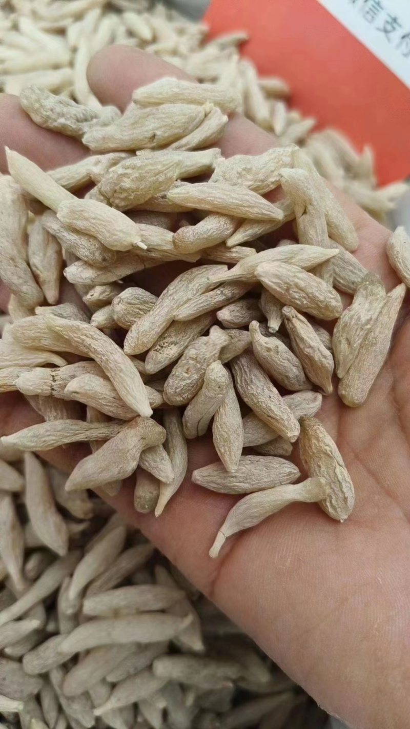 麦冬干麦冬各种规格常年大货一手货源充足批发供应