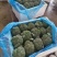 优质西兰花产地直发货源充足质量好价格优量大优惠