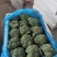优质西兰花产地直发货源充足质量好价格优量大优惠