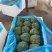 优质西兰花产地直发货源充足质量好价格优量大优惠