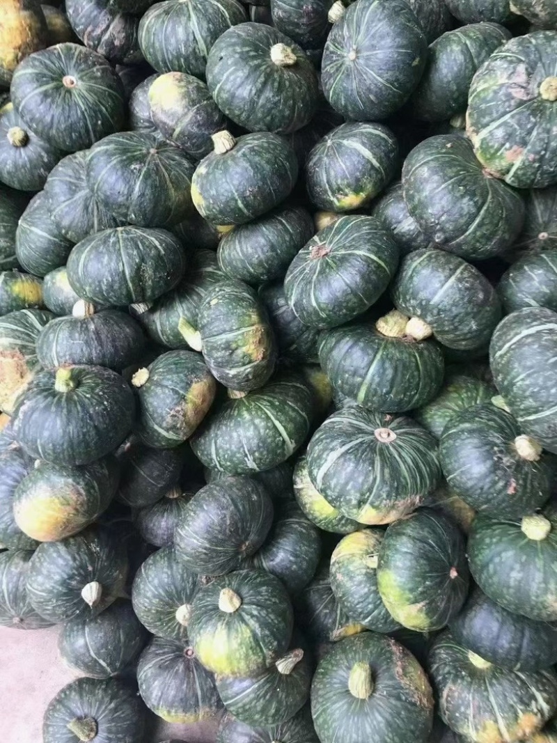 【推荐】板栗南瓜头茬精品货可分级打包货靓价全国发货