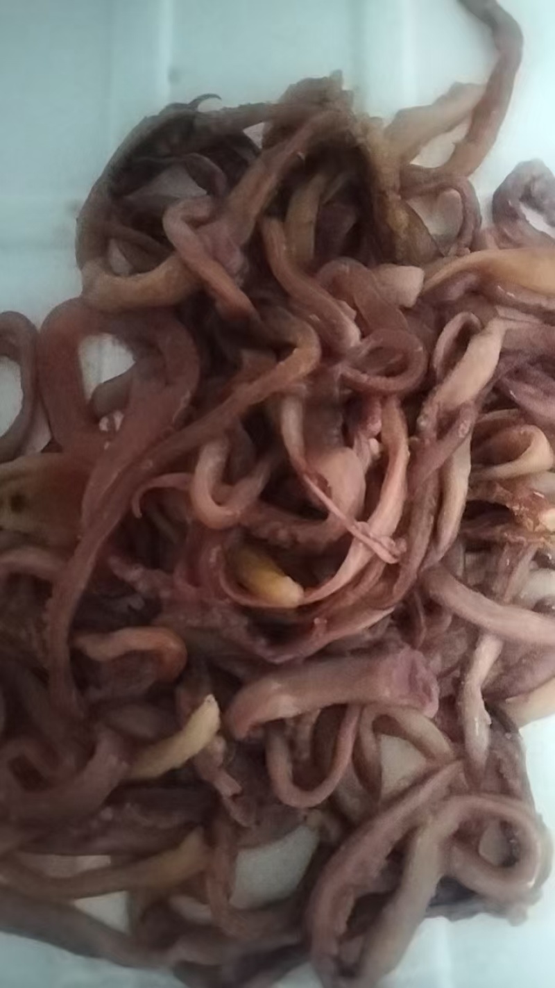 鱿鱼须，串串，烧烤，麻辣烫，冒菜，爆炒，便宜高性价比宝贝