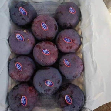 黑布林大量上市，量大从优。各种李子