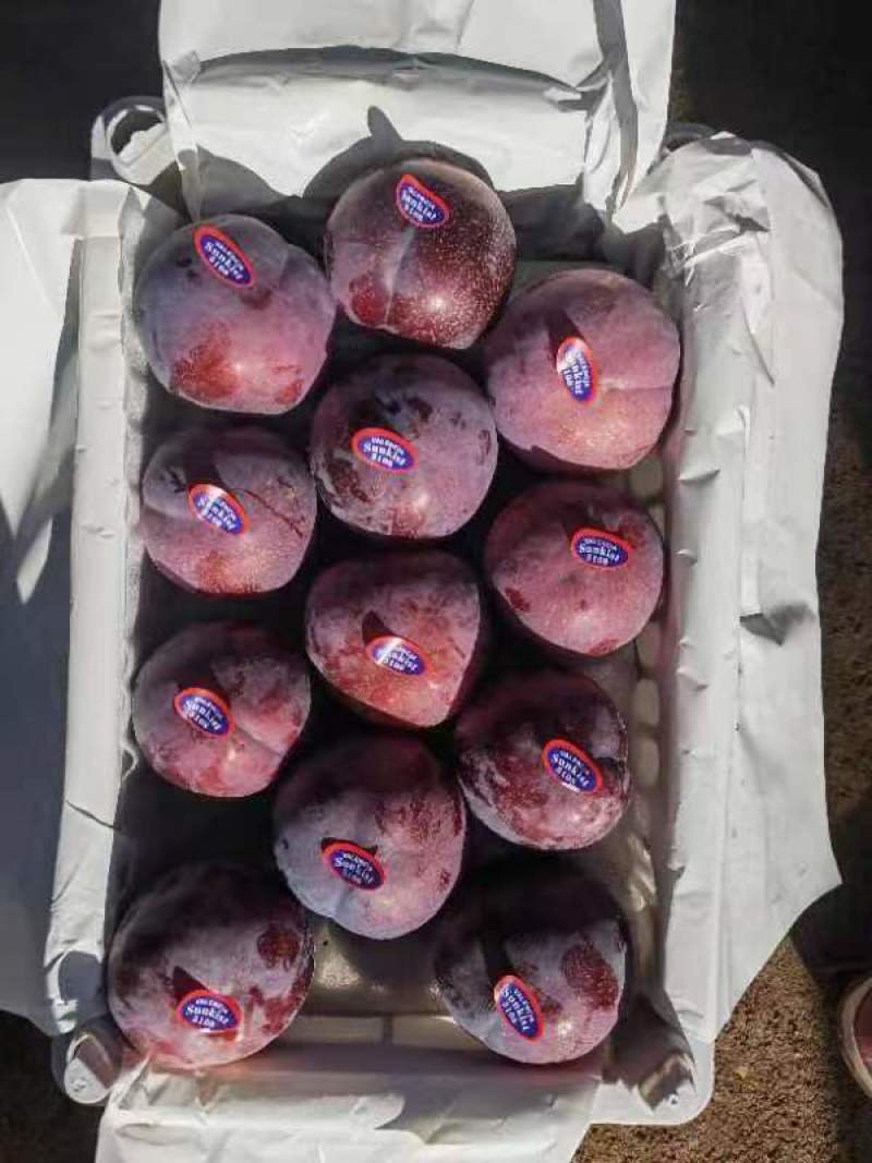 黑布林大量上市，量大从优。各种李子