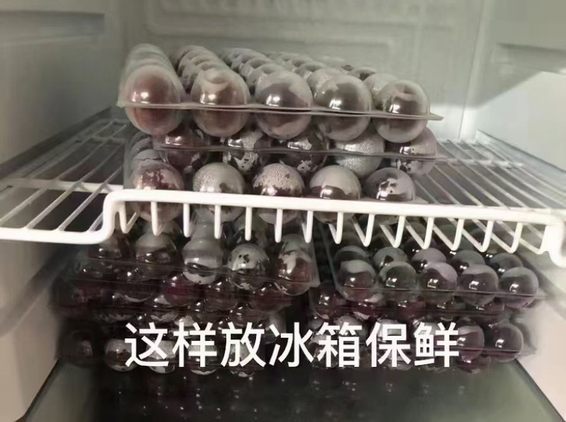 苏州东山乌紫杨梅