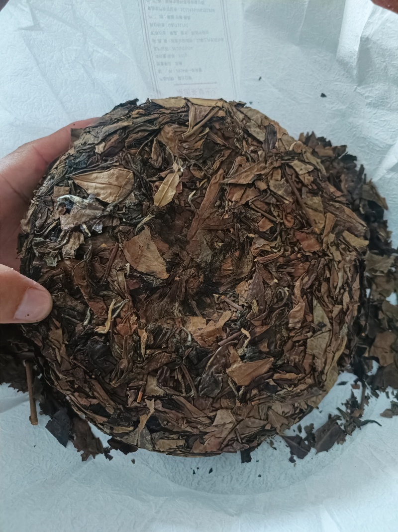 福鼎老白茶原厂地14一年