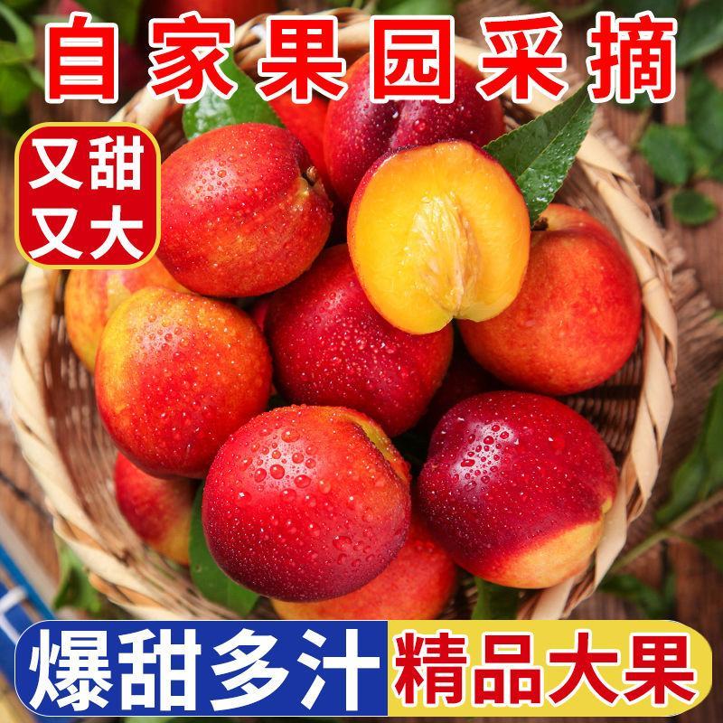 脆甜】黄心大油桃5斤3斤新鲜孕妇水果当季黄肉油桃带箱油桃