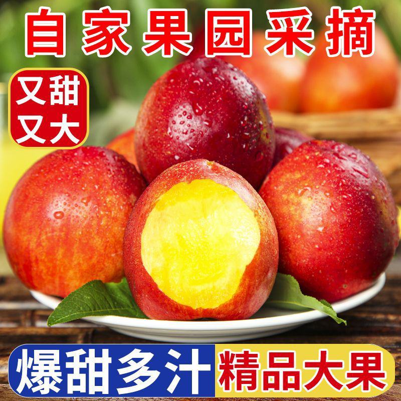 脆甜】黄心大油桃5斤3斤新鲜孕妇水果当季黄肉油桃带箱油桃