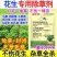 花生除草剂:花生除草剂禾阔莎附子通杀花生专用除草剂