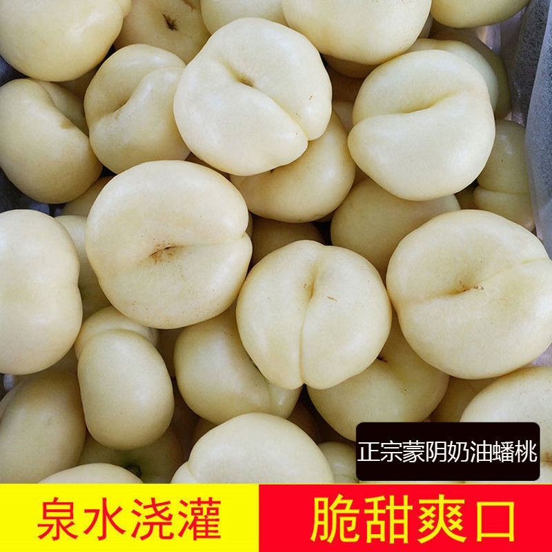 脆甜奶油白蟠桃新鲜孕妇水果蒙阴蜜桃蜂蜜纽扣扁黄金油桃3斤