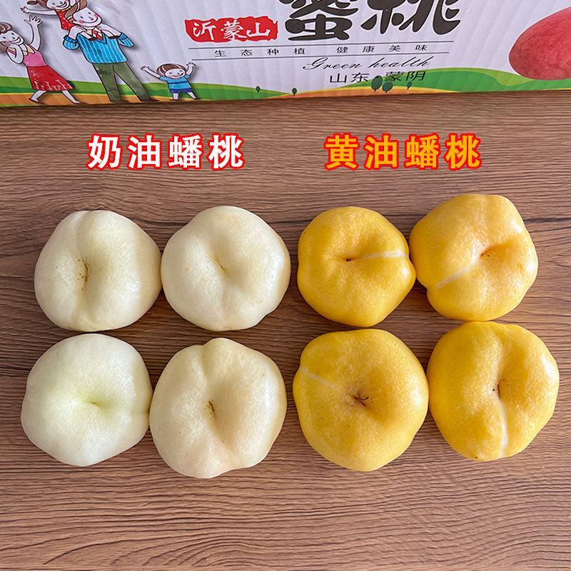 脆甜奶油白蟠桃新鲜孕妇水果蒙阴蜜桃蜂蜜纽扣扁黄金油桃3斤