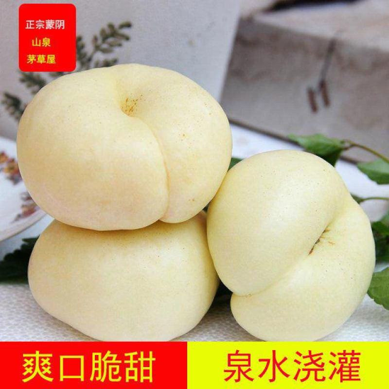 脆甜奶油白蟠桃新鲜孕妇水果蒙阴蜜桃蜂蜜纽扣扁黄金油桃3斤