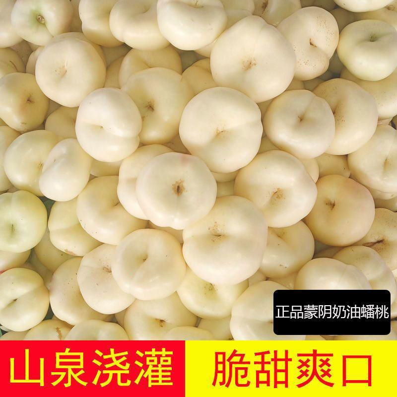 脆甜奶油白蟠桃新鲜孕妇水果蒙阴蜜桃蜂蜜纽扣扁黄金油桃3斤
