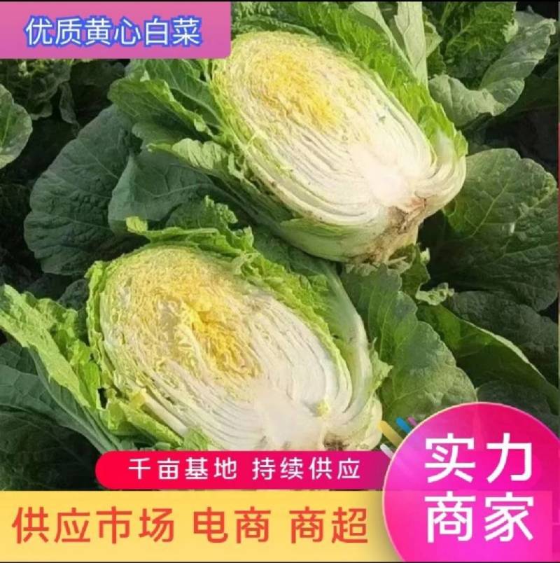 玲珑黄，金翡翠，黄心小颗白菜，诚信代办全国走货