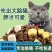 冻干全价猫粮1-12个月幼猫用奶糕增肥发腮变胖猫粮包邮