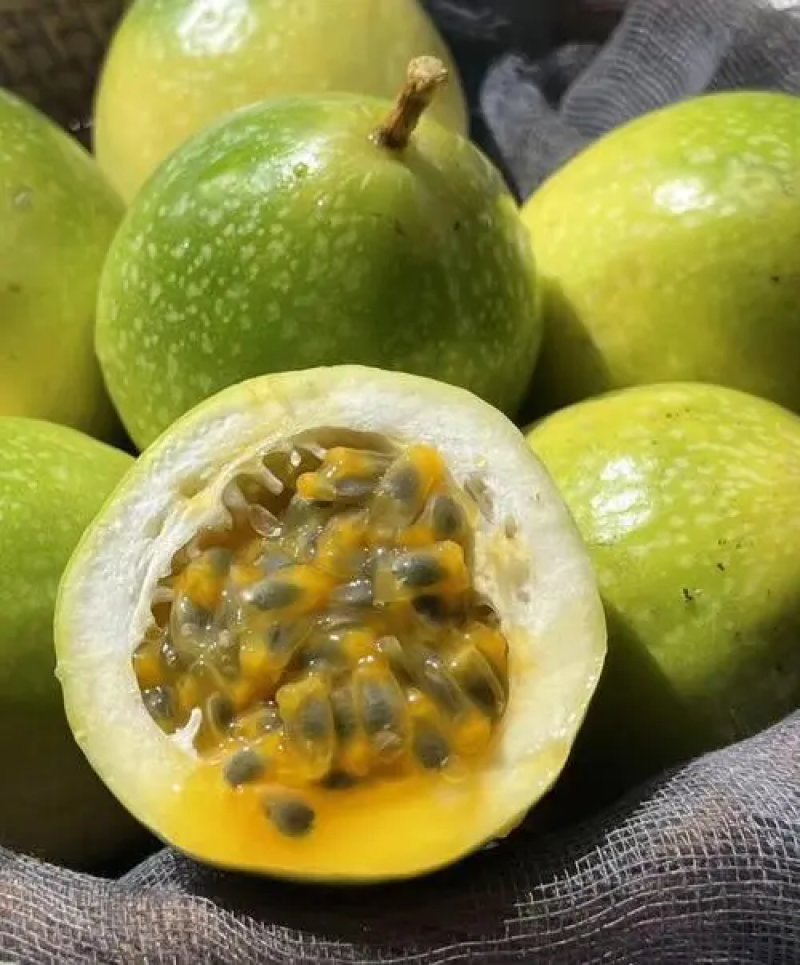 【饮蜜9号】黄金百香果大量上市种植产区直发供应全国量大从优