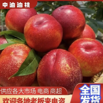 宜城油桃，湖北金雷油桃，中油19，大量上市，保质保量
