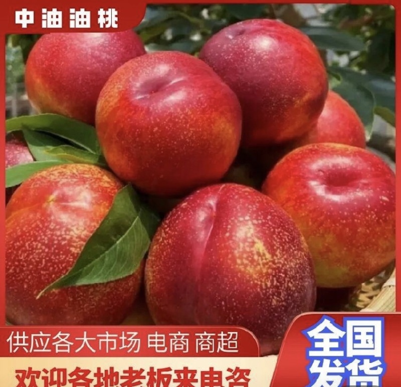 宜城油桃，湖北金雷油桃，中油19，大量上市，保质保量