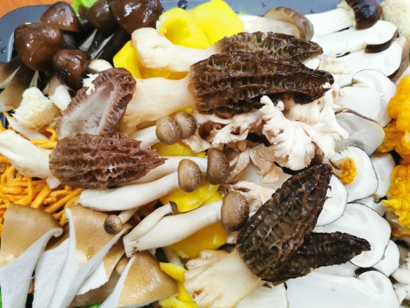 云南野生菌松茸牛肝菌鸡纵羊肚菌黑松露红菇