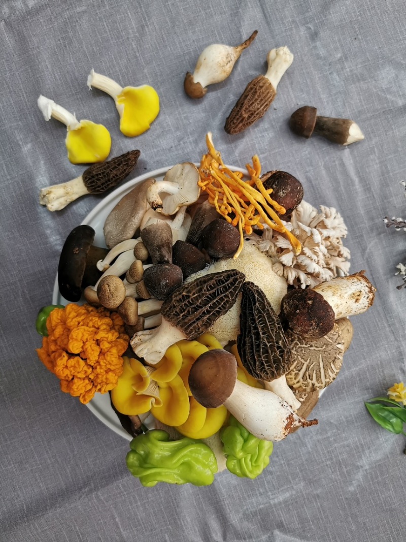 云南野生菌松茸牛肝菌鸡纵羊肚菌黑松露红菇